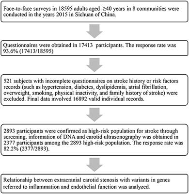 Inflammation and endothelial function relevant genetic polymorphisms in carotid stenosis in southwestern China